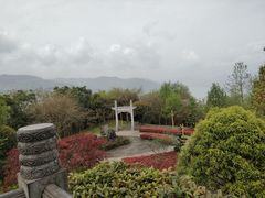 -三峡梯城