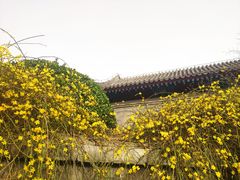-首都医科大学宣武医院