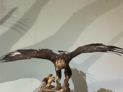 -青藏高原自然博物馆