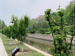 -海棠花溪(元大都城垣遗址公园)
