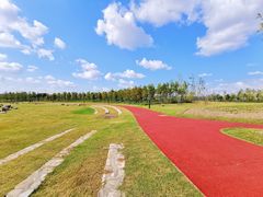 -春花秋色城市公园