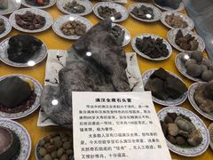 -游龙石文化科普馆