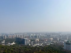 -杭州半山国家森林公园