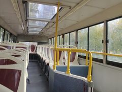 -BUS TOUR观光巴士