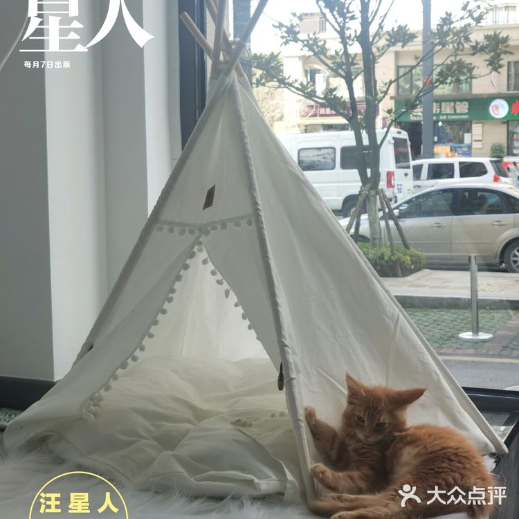 探店 ‖ 一起养宠物,一起快乐吧~