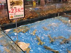 -宝燕海货工场(长江国际店)