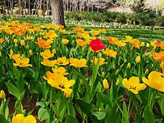 -长春公园(普阳街道)