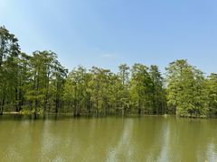 -池杉湖湿地公园