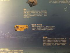 -海合安武汉极地海洋公园