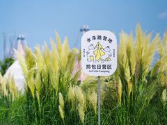 -阳澄湖半岛旅游度假区