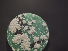 -德基艺术博物馆