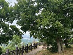 -南京市江宁方山