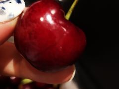 -Wellcome(庄士敦道店)