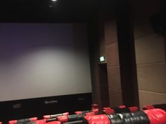 -SOE精选影城