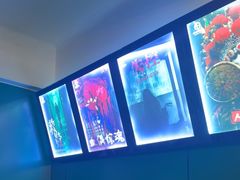 -荒岛实景沉浸密室(江汉路1店)