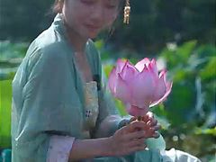 -洪湖生态旅游区