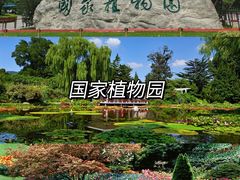 -香山公园