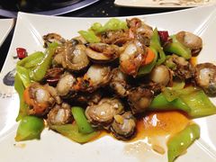 -东海章鱼馆(恒瑞街店)