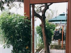 -树厨贵州菜(铜仁花果山店)