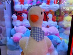 -左庭右院鲜牛肉火锅(苏州园区永旺店)