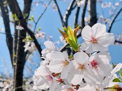 -南浦大桥长途旅游客运站