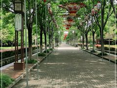 -洛阳市隋唐城遗址植物园
