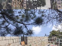 -大罗山风景区