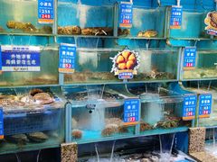 -海味当家·蒸锅海鲜(星海公园店)