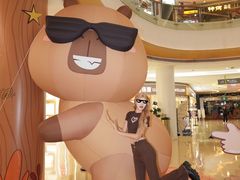 -深圳龙华星河COCO City(民治店)