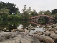 -桂湖森林公园