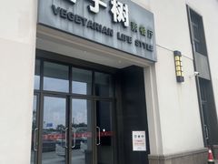 -枣子树·素食餐厅(朱家尖店)