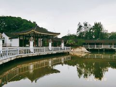 -枸杞岛