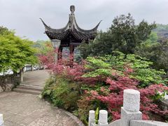 -重庆园博园