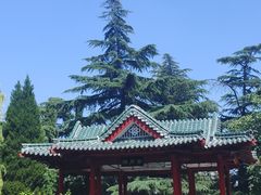 -山东师范大学(千佛山校区)