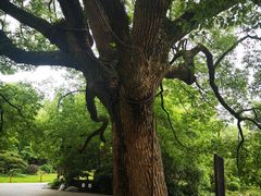 -西湖外事游船(花港观鱼码头)