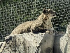 -青藏高原野生动物园