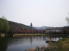 -石塘人家