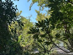 -穹窿山景区