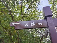 -佛慧山