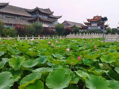 -大悲禅寺