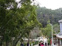-火炉山森林公园