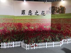 -大金山风景区