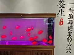 -金蚁康•经络调理•肩颈按摩(万达金街店)