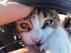 -老周炒拨拉(甘州总店)