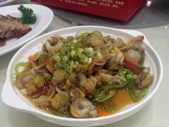 -天津津利华酒店