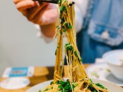 -椿不老