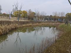 -美兰湖景区