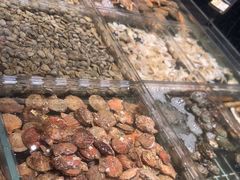 -浩运海鲜·16年专注青岛菜(石老人店)