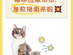 -纳吉亚猫专科动物医院·北北分院