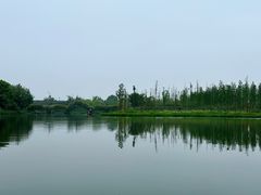 -三垟湿地